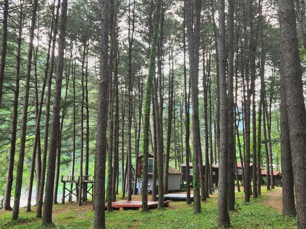 Hongcheon Gongjaksan Recreational Forest Pension Exterior foto